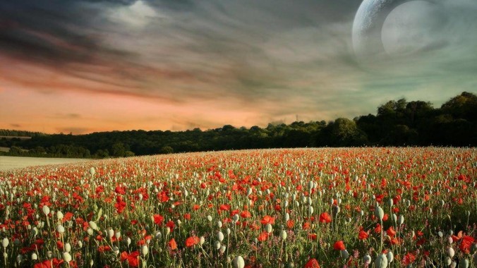 张元英瘦得很畸形，为什么她粉丝还觉得是完美身材？